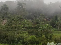 Pola Hidup Sehat Jadi Rahasia Warga Kampung Miduana Berumur Panjang