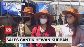 VIDEO: Sales Cantik Hewan Kurban