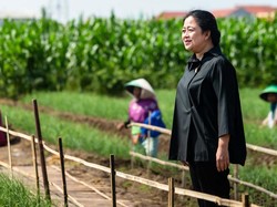 Saran Puan, Upah Minimum 2023 Mengacu Lonjakan Harga Bahan Pokok
