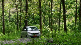 KLHK Beber Alasan Ambil Alih Kelola 1,1 Juta Hektare Hutan di Jawa
