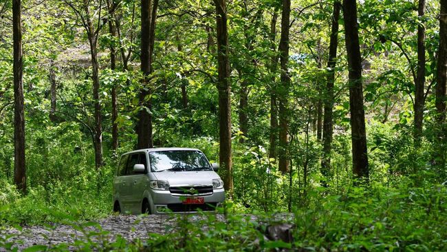 KLHK Beber Alasan Ambil Alih Kelola 1,1 Juta Hektare Hutan di Jawa KLHK membeberkan alasan pengambilalihan kelola hutan seluas 1,1 juta ha di Pulau Jawa, salah satu dalihnya untuk mengatasi masalah kemiskinan masyarakat hutan.