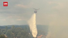 VIDEO: Ribuan Damkar Berjuang Matikan Api Karhutla California