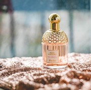 Rekomendasi Parfum Mewah Buat Cewek Kue, Cewek Mamba, dan Cewek Bumi