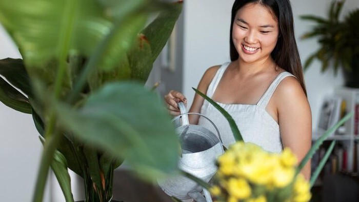 Tidak cuma mempercantik, tanaman dalam ruangan juga membantu membersihkan udara di dalam rumah.