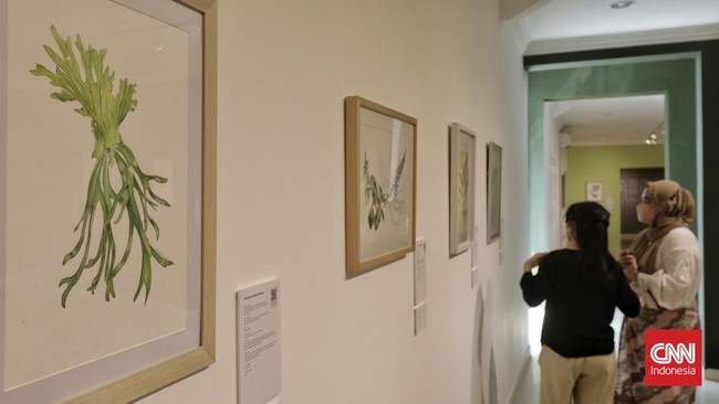 FOTO: Sains dan Estetika Flora Indonesia Kawin dalam Botanical Art