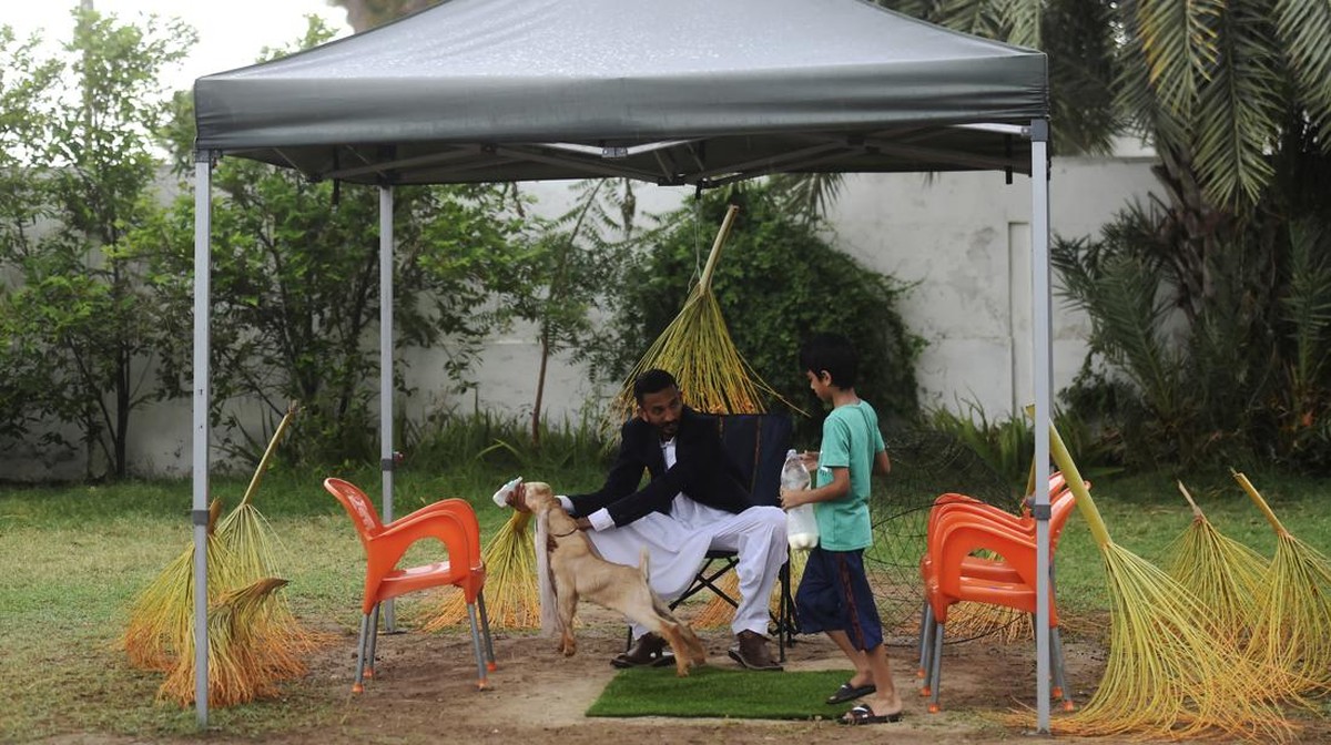 FOTO: Simba, Si Anak Kambing Bertelinga Panjang dari Pakistan