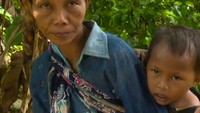 Nasib Pilu Keluarga Pencari Cengkih, Memunguti Rupiah Guna Bertahan Hidup