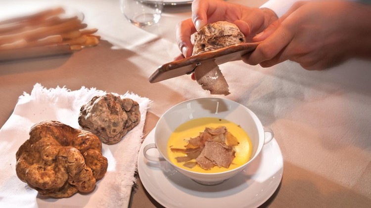 White Alba truffle