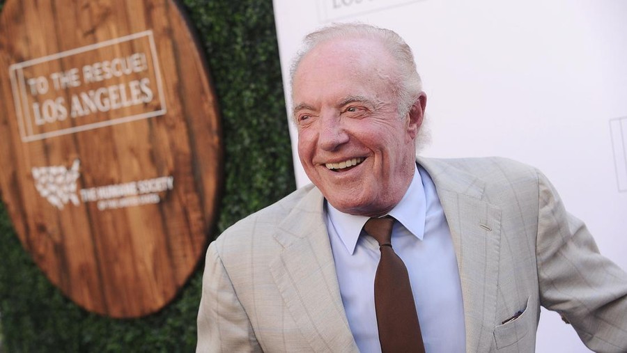 HOLLYWOOD, CA - APRIL 22:  Actor James Caan attends Humane Society of The United States' annual To The Rescue! Los Angeles benefit at Paramount Studios on April 22, 2017 in Hollywood, California.  (Photo by Jason LaVeris/FilmMagic)