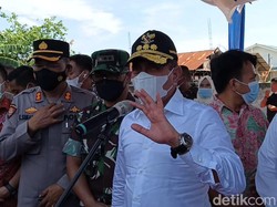 14 Ribu Sapi di Sumut Terpapar PMK, Gubsu: Paling Parah Batu Bara