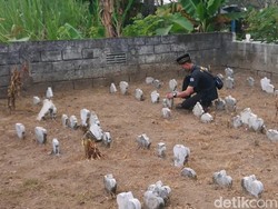 Mengunjungi Kompleks Pemakaman Mr X di Tulungagung