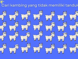 7 Tebak Gambar Ini Easy Banget, Gagal Temukan Perbedaannya? Fix Butuh Kacamata 7 Tebak Gambar Ini Easy Banget, Gagal Temukan Perbedaannya? Fix Butuh Kacamata