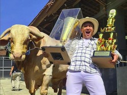 Wisanggeni, Sapi Kurban Milik Irfan Hakim yang Berbobot 1,3 Ton