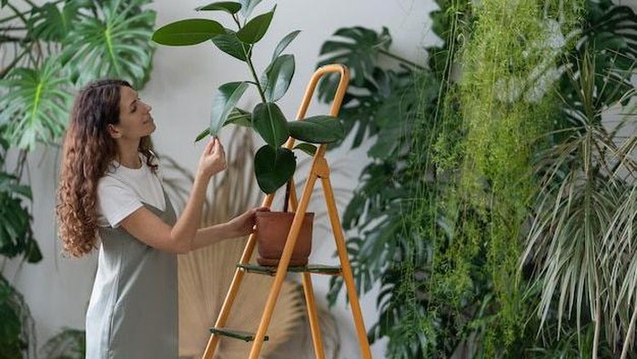 Flashback! 3 Hobi yang Pernah Viral Selama Pandemi Covid-19, Ada Favoritmu Beauties?