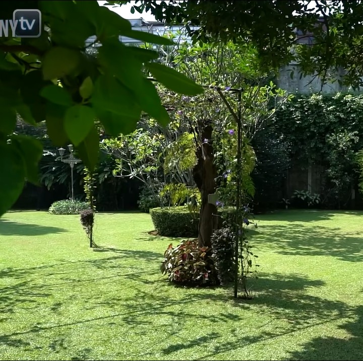 <p>Hamparan rumput hijau dengan banyak pohon ini membuat hunian tersebut semakin asri. Bagian halaman yang luas merupakan area favorit Raffi di rumah ini, Bunda. (Foto: YouTube TAULANY TV)<br /><br /><br /></p>