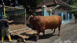 Menilik Arti Kurban pada Iduladha hingga Deretan Artis Terkaya di Dunia