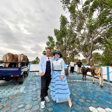 Bella Shofie Kurban 26 Ekor Sapi di Kampung Halaman Suami