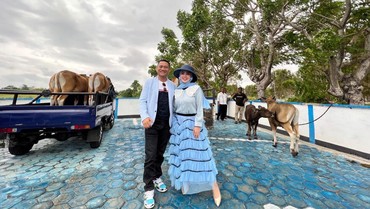 Bella Shofie Kurban 26 Ekor Sapi di Kampung Halaman Suami