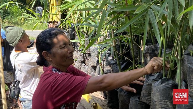 Sejumlah wanita di Nusa Tenggara Timur (NTT) bercerita soal upaya mereka dalam melestarikan tanaman bambu.