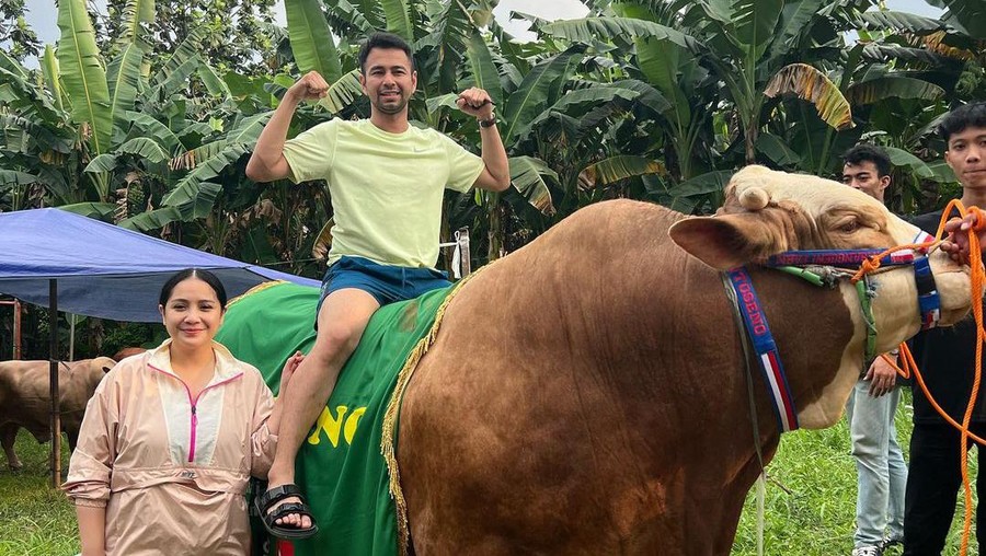 Ditemani 2 Putra, Raffi Ahmad Potong 30 Ekor Hewan Kurban
