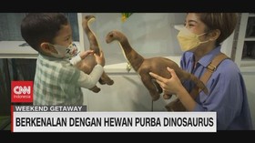 VIDEO: Isi Liburan Bersama Dinosaurus & Ke Wahana Air