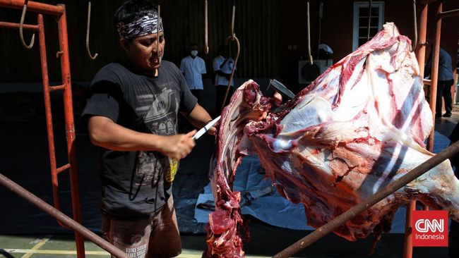 20 Ribu Ton Daging Kerbau Impor Bakal Masuk Jelang Puasa