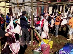 Banjir Daging Kurban di Dusun Krajan