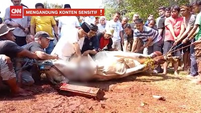 img-title VIDEO: Momen Anies Sembelih Hewan Kurban Sapi 1 Ton Sendiri