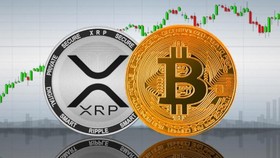 Kripto Menghijau, Tapi Bitcoin Masih Tertahan di US$16.733