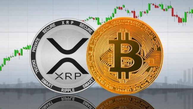 Harga 10 koin kripto dengan kapitalisasi pasar terbesar menghijau 24 jam terakhir. Salah satunya, bitcoin yang naik tipis 0,17 persen.