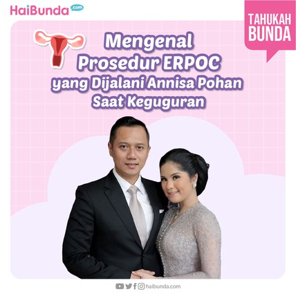 Detik Network