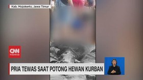 VIDEO: Nestapa di Hari Kurban: Pria Tewas Saat Potong Hewan Kurban