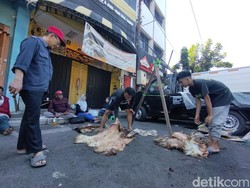 Pengepul Kulit Sapi dan Kambing Dapat Rezeki Nomplok Saat Idul Adha