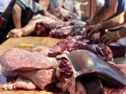 Daging Sapi Masih Bergerak Setelah Dipotong, Ini Alasan Ilmiahnya