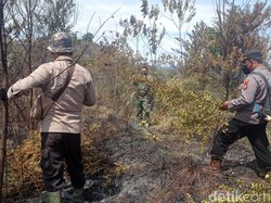 Karhutla di Rokan Hulu Meluas, Petugas Kesulitan Padamkan Api