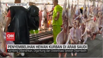 VIDEO: Melihat Tempat Penyembelihan Hewan Kurban Di Arab Saudi