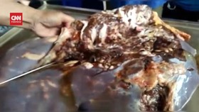 VIDEO: 3 Kilogram Cacing Hati Ditemukan di Hewan Kurban di Banyumas