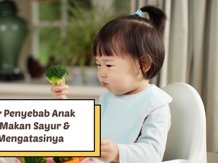 3 Faktor Penyebab Anak Susah Makan Sayur & Tips Mengatasinya