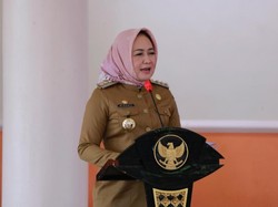 Bupati Tulang Bawang Harap Komisi IV DPR Serap Aspirasi Warganya