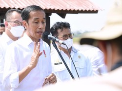 Jokowi Yakin Swasembada Beras Segera Terwujud