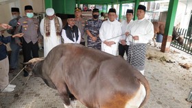 Gubernur Ansar Sebut Kurban dari Jokowi Bentuk Perhatian Pemerintah