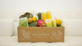 Sayurbox Kembali PHK Karyawan Karena Pasar Tak Tumbuh Sesuai Harapan