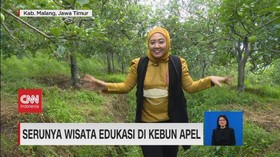 VIDEO: Wisata Edukasi di Kebun Apel & Kuliner Unik Pedas Malang