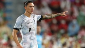 Siapa Lebih Tajam: Haaland atau Darwin Nunez?