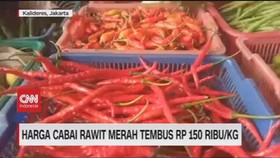 VIDEO: Harga Cabai Rawit Merah Tembus 150 Ribu Per Kilo