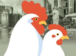 Perjalanan Singapura Krisis Daging Ayam hingga Impor dari RI
