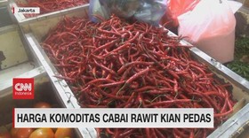 VIDEO: Harga Komoditas Cabai Rawit Kian Pedas