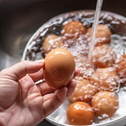 Duh, Ternyata Mencuci Telur Sebelum Dimasak Tidak Disarankan! Ini Penjelasan Ahli