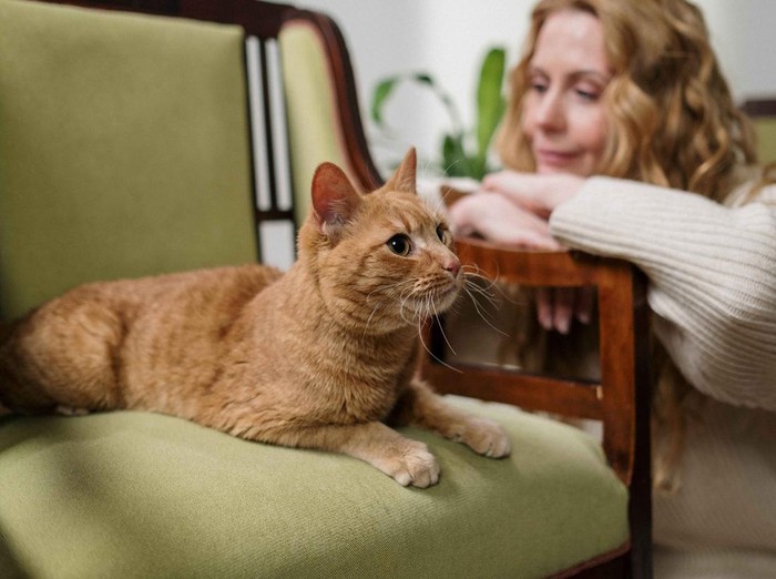 Orang bersama kucing