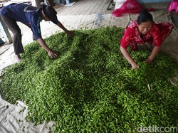 Cabai Rawit Jadi Biang Kerok Inflasi Kalteng dari Tahun ke Tahun
